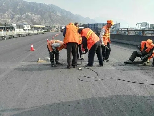 杂多道路桥梁病害治理